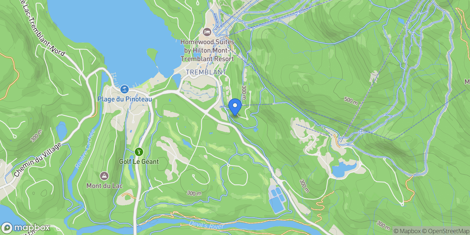 Map showing 197 Ch. de la Forêt 8, Mont-Tremblant, Quebec, Canada.