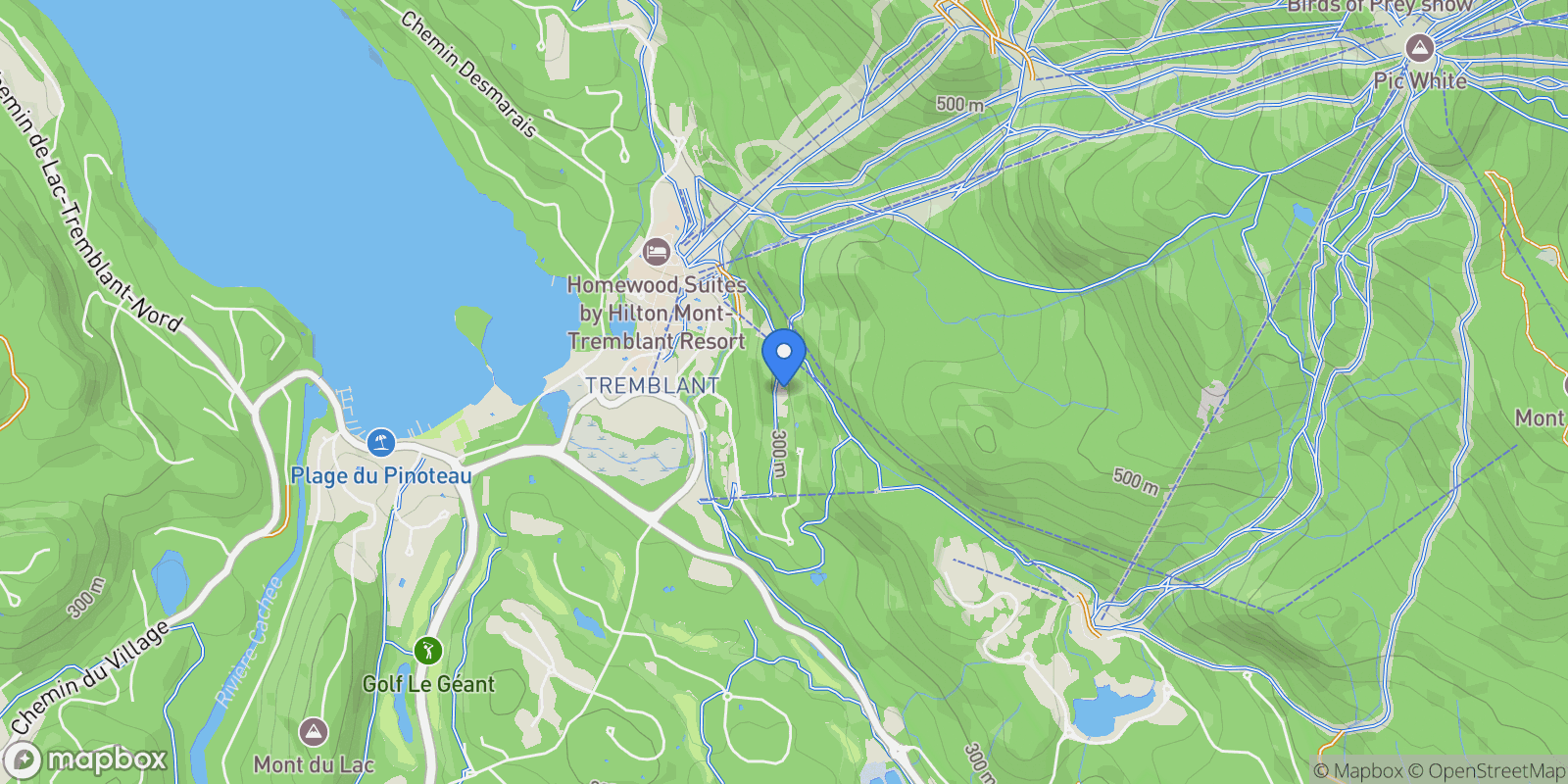 Map showing 172 Ch. des Sous-Bois 3, Mont-Tremblant, Quebec, Canada.