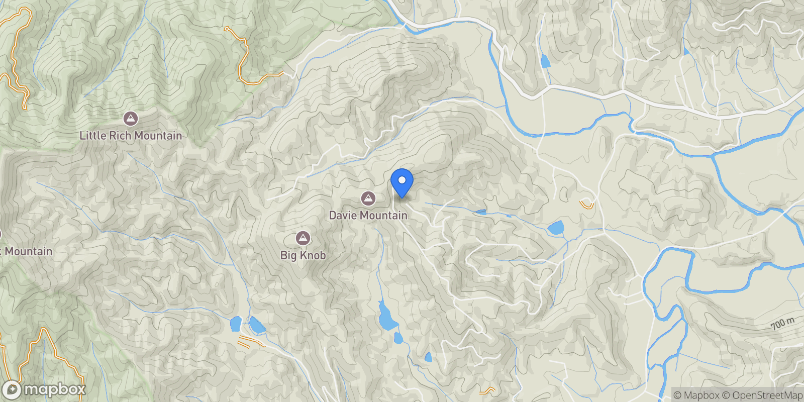 Map showing 9999 Mayfly Lane 106, Horse Shoe, North Carolina, United States.
