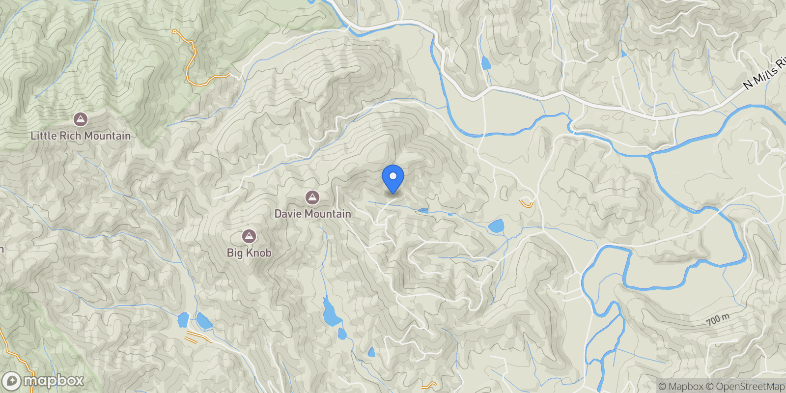 Map showing 99999 Caddis Lane 92, Horse Shoe, North Carolina, United States.