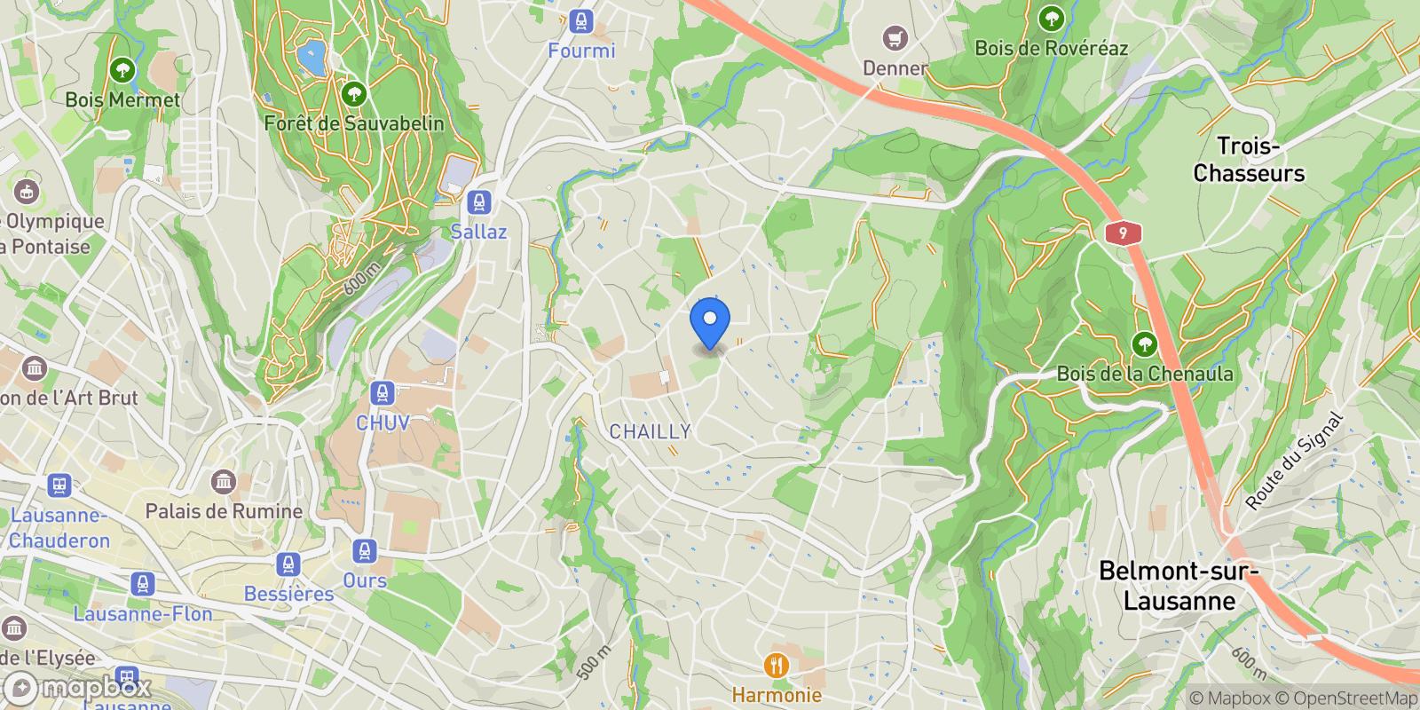 Map showing Lausanne, VD 1012, Lausanne, Vaud, Switzerland.