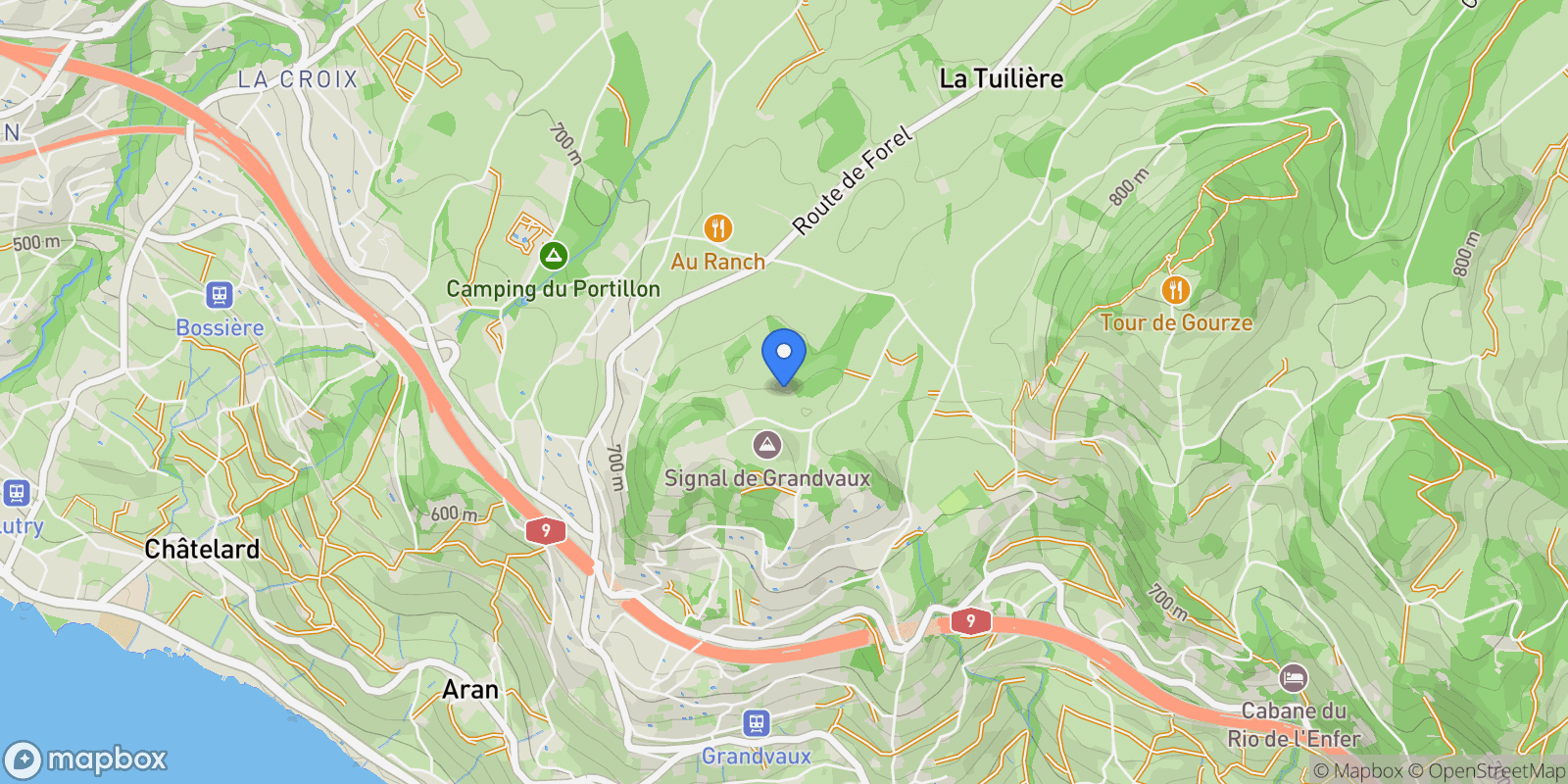 Map showing Grandvaux, VD 1091, Bourg-en-Lavaux, Vaud, Switzerland.