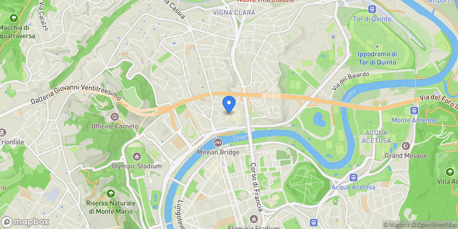 Map showing Via Flaminia 491, Rome, Lazio, Italy.