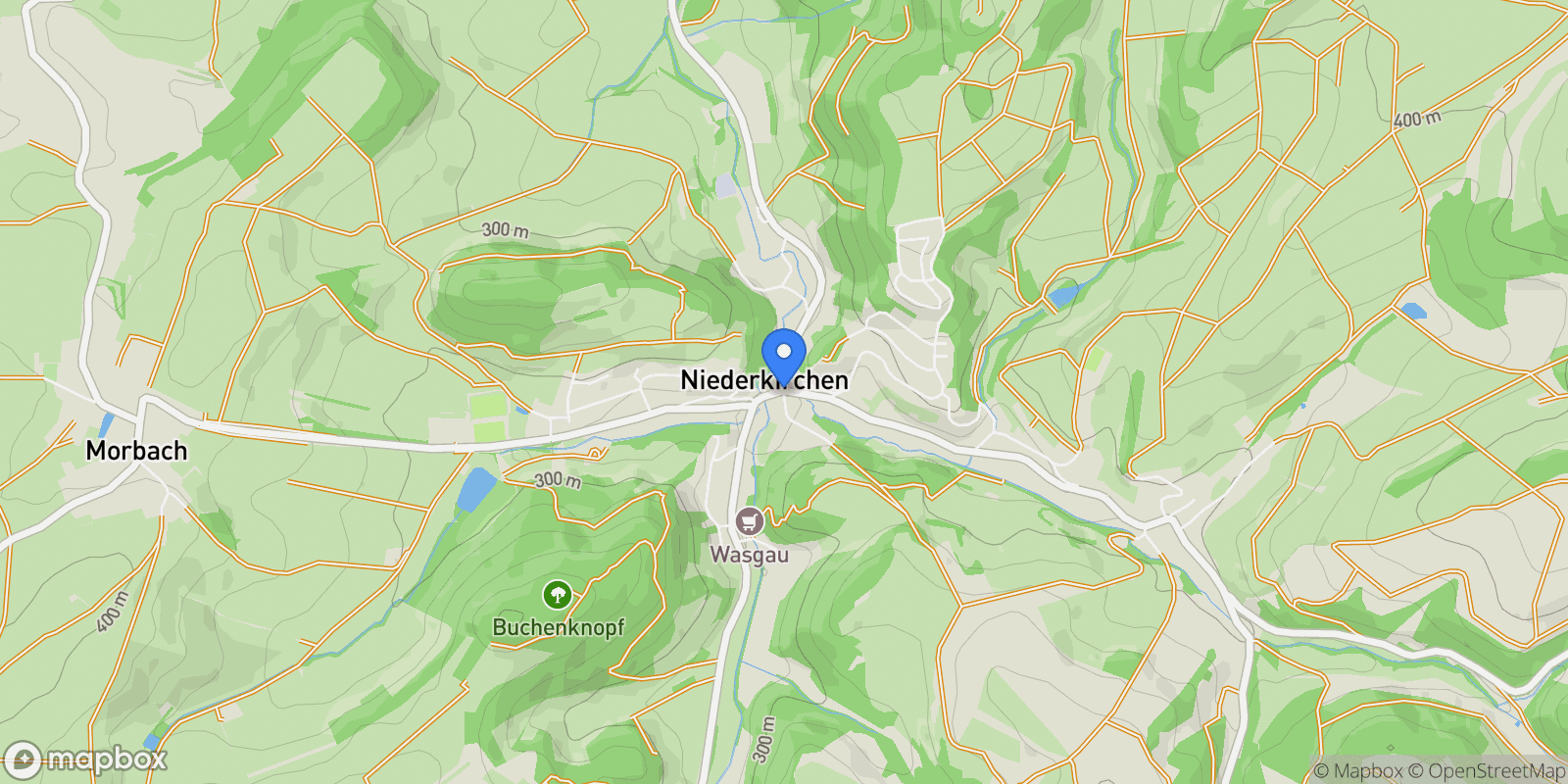 Map showing Niederkirchen, Rhineland-Palatinate, Germany.