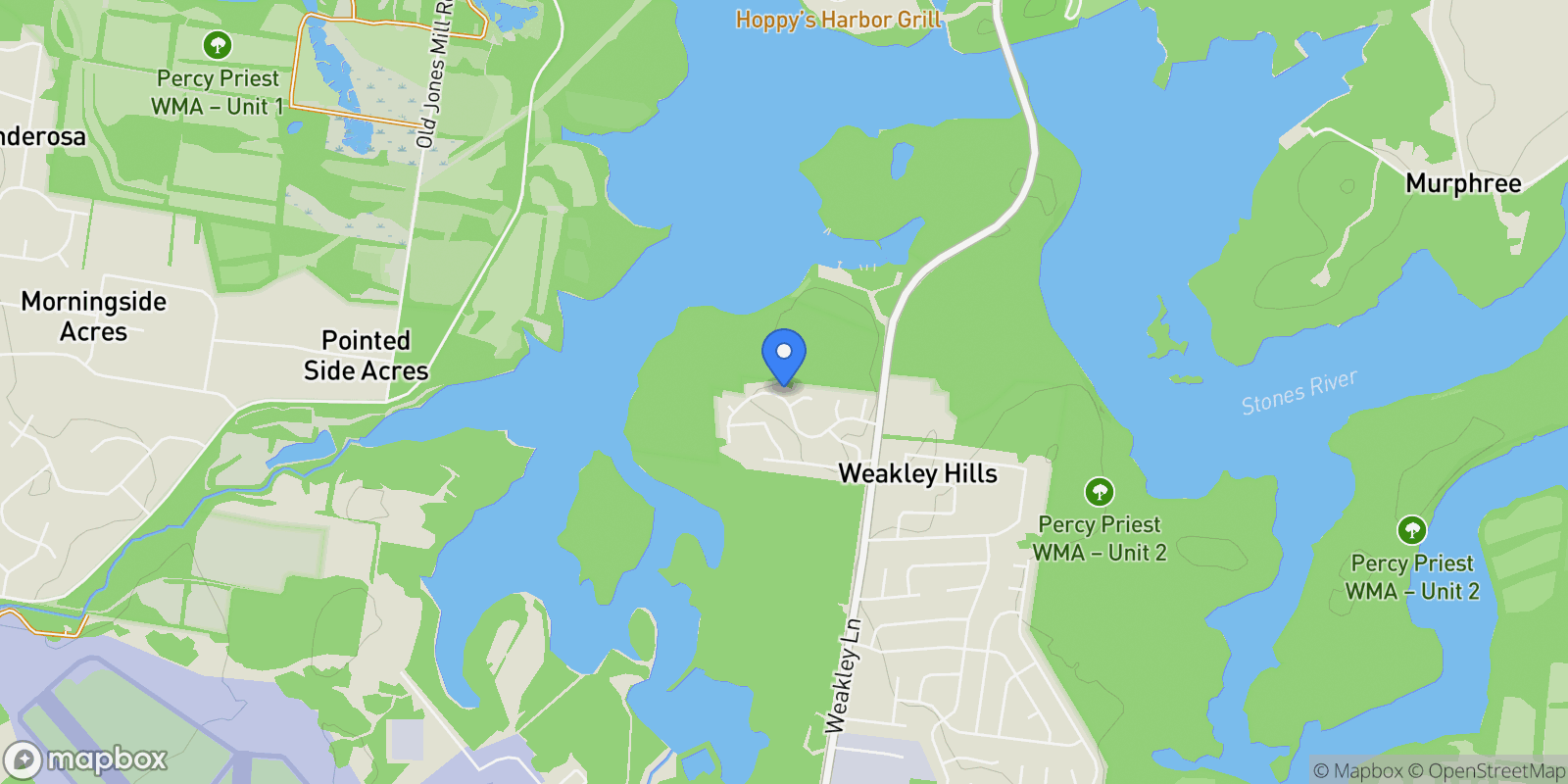 Map showing 124 Laural Hill Dr, Smyrna, Tennessee, United States.