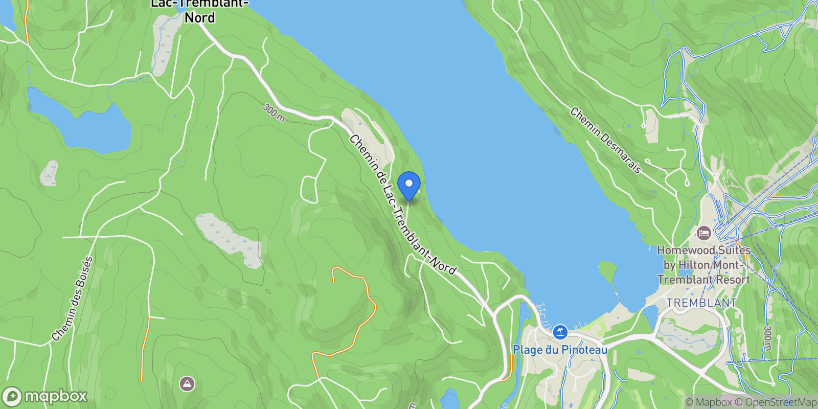 Map showing 123 Rue Cuttle, Apt. 207, Mont-Tremblant, QC J8E1B9, Mont-Tremblant, Quebec, Canada.