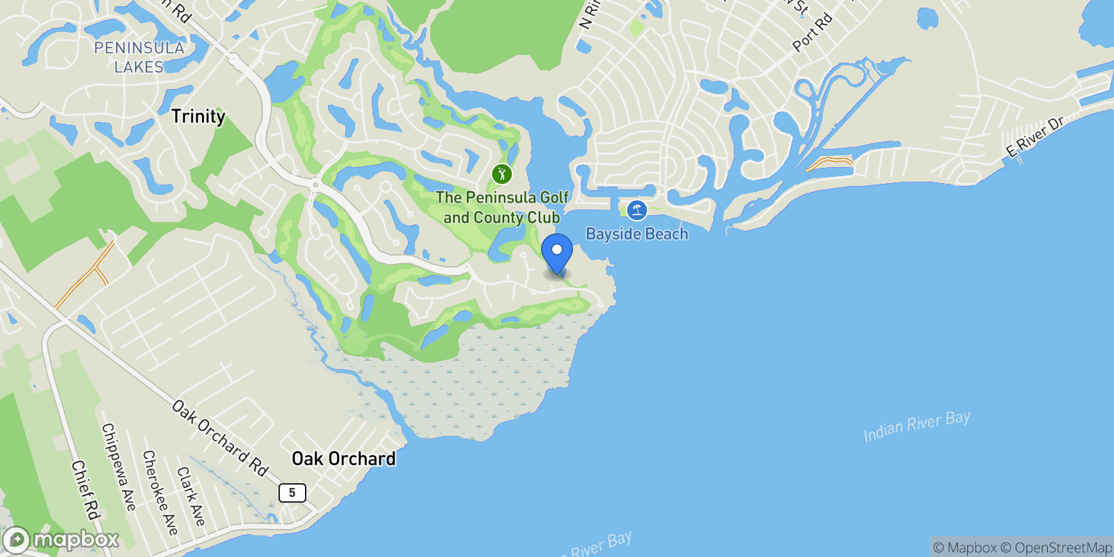Map showing 33596 SAND DOLLAR DR, MILLSBORO, DE, 19966, USA, Millsboro, Delaware, United States.