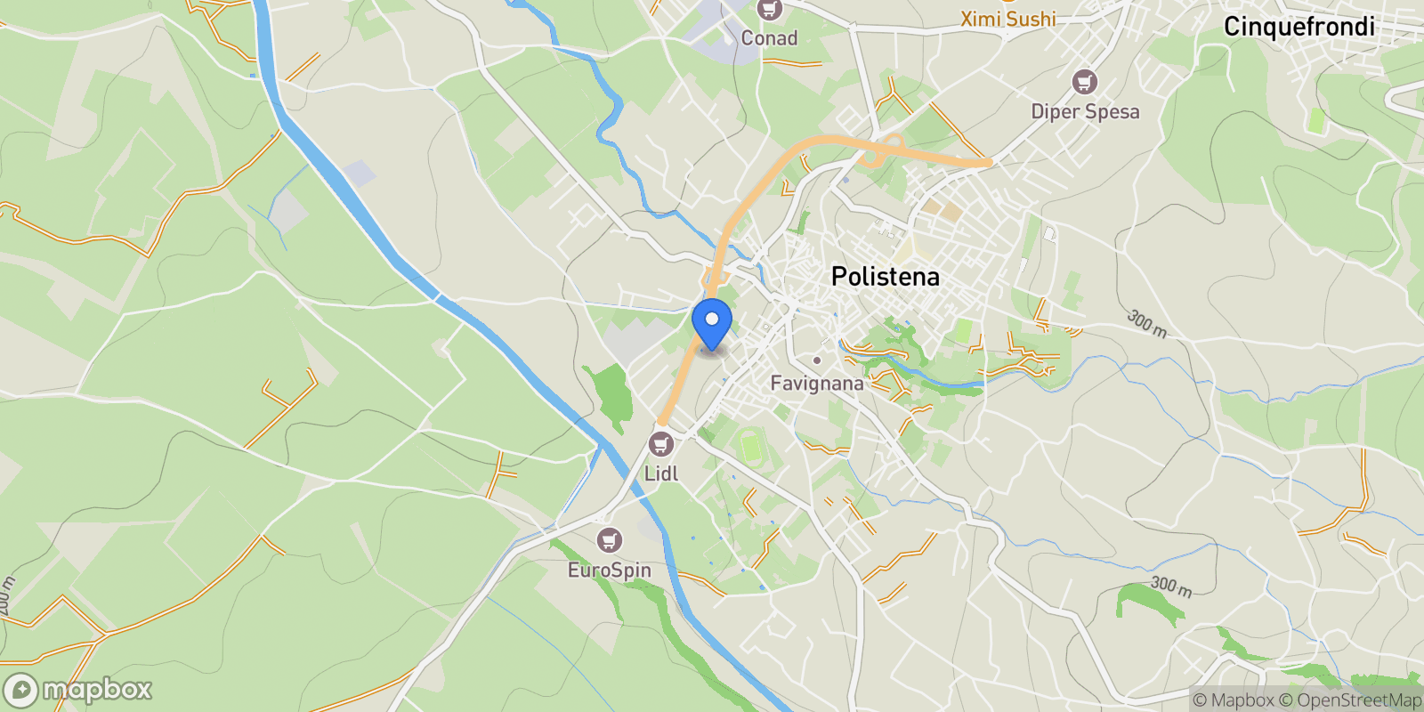Map showing Via Architetto Rodinò Toscano, 17, Polistena, Calabria, Italy.