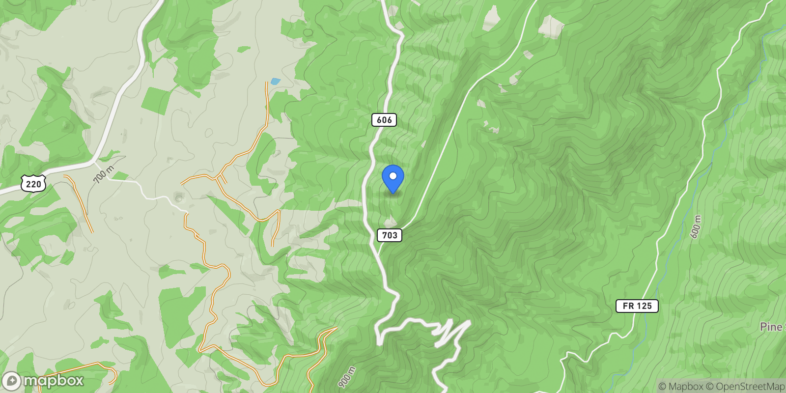 Map showing 106  Airport Dr, Hot Springs, VA, 24445, USA, Hot Springs, Virginia, United States.