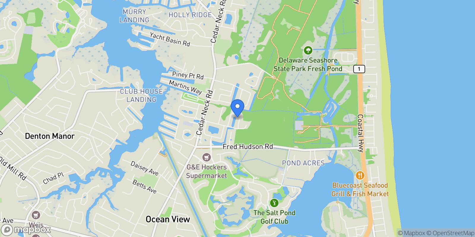 Map showing 31326 TERRY CIR, BETHANY BEACH, DE, 19930, USA, Bethany Beach, Delaware, United States.
