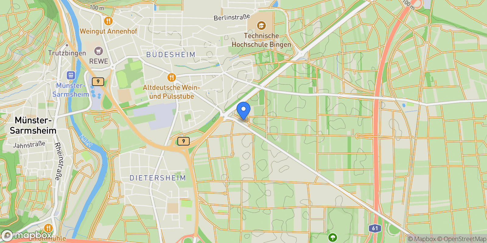 Map showing Bingen, Rhineland-Palatinate, Germany.