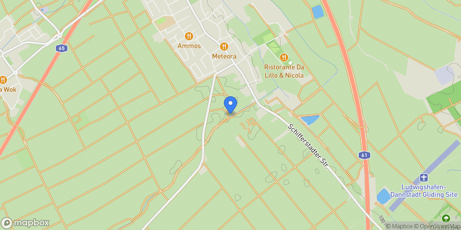 Map showing Dannstadt-Schauernheim, Rhineland-Palatinate, Germany.