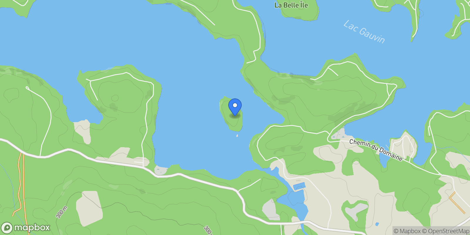 Map showing 50 Île Lafleur, Lac-des-Écorces, QC J0W1H0, Lac-des-Écorces, Quebec, Canada.