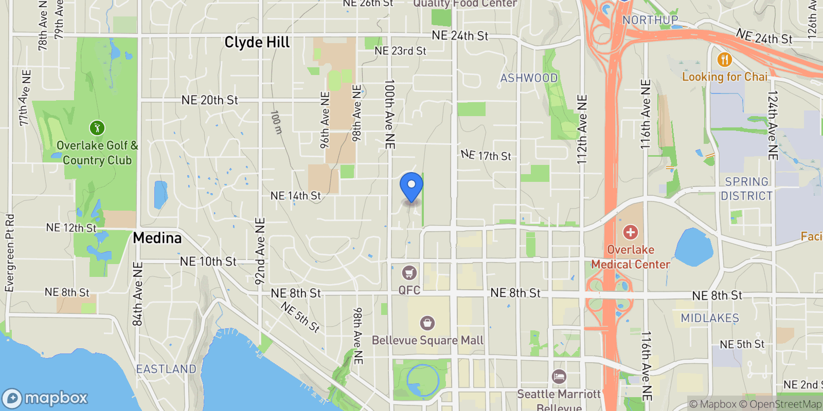 Map showing 1331 NE 102nd Avenue, Bellevue, WA, 98004, USA, Bellevue, Washington, United States.