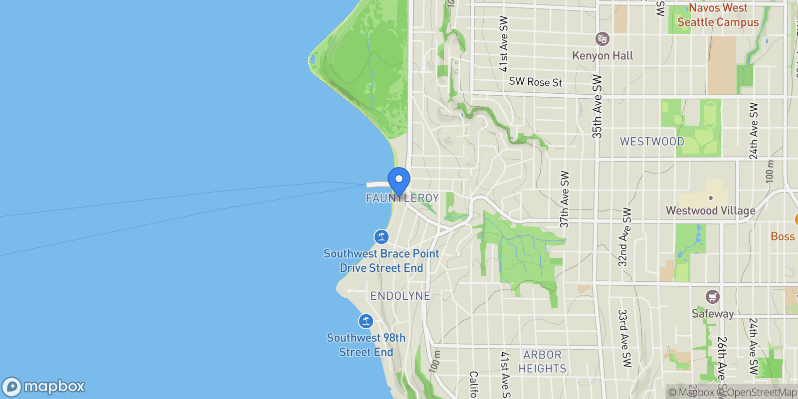 Map showing 9117 Fauntleroy Way SW, Seattle, WA, 98136, Seattle, Washington, United States.