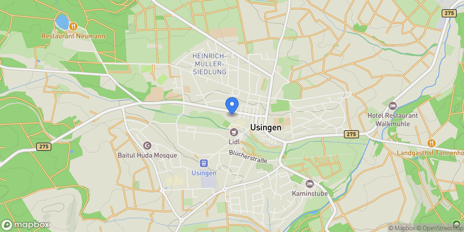 Map showing Usingen, Hessen, Germany.