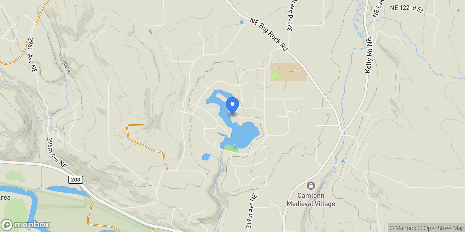 Map showing 11009 NE 317th Avenue, Carnation, WA, 98014, USA, Carnation, Washington, United States.