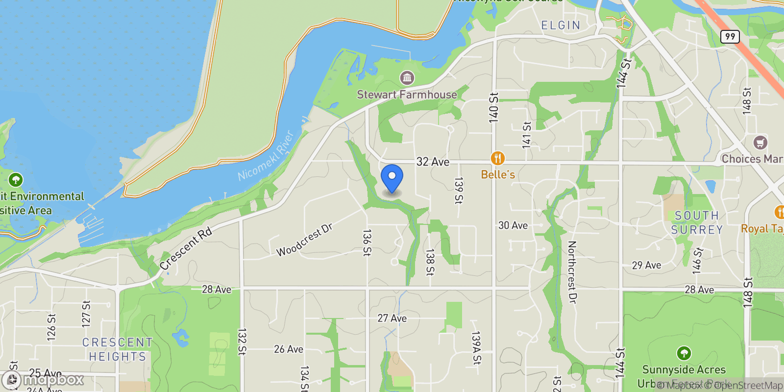 Map showing 3122 136 Street, Surrey, BC, V4P3C8, CANADA, Surrey, British Columbia, Canada.