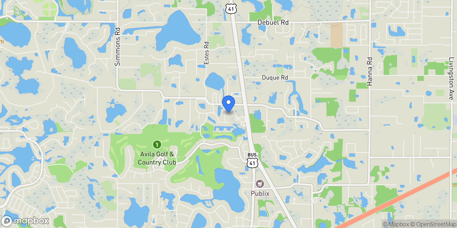 Map showing 17005 Madres De Avila, Tampa, FL 33613, Tampa, Florida, United States.