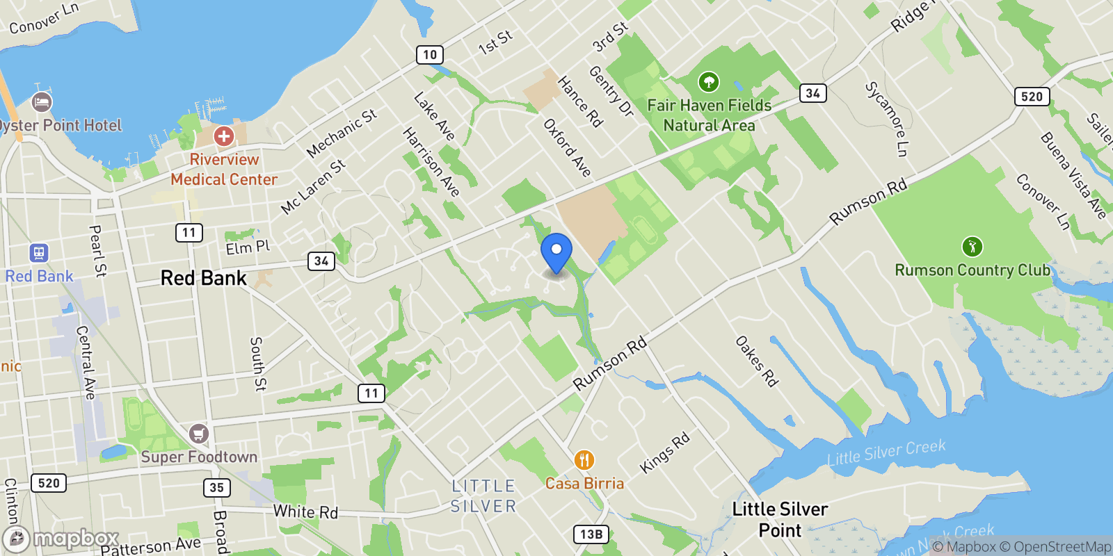 Map showing 172 Woods End Drive, Little Silver, NJ 07739, Little Silver, New Jersey, United States.