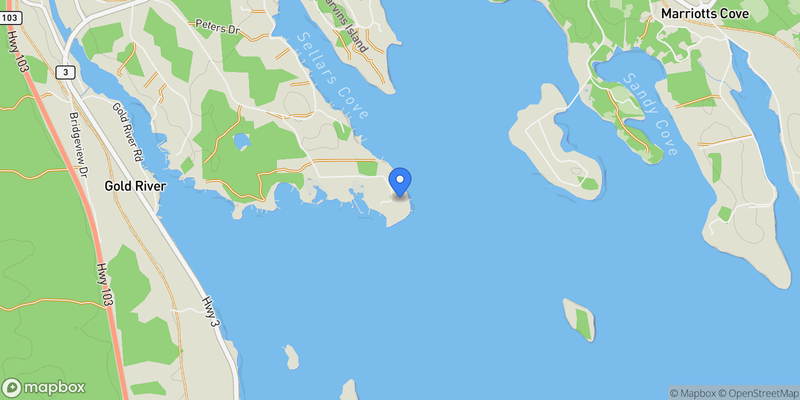 Map showing 217 Borgalds Drive, Chester Basin, Nova Scotia, Canada.