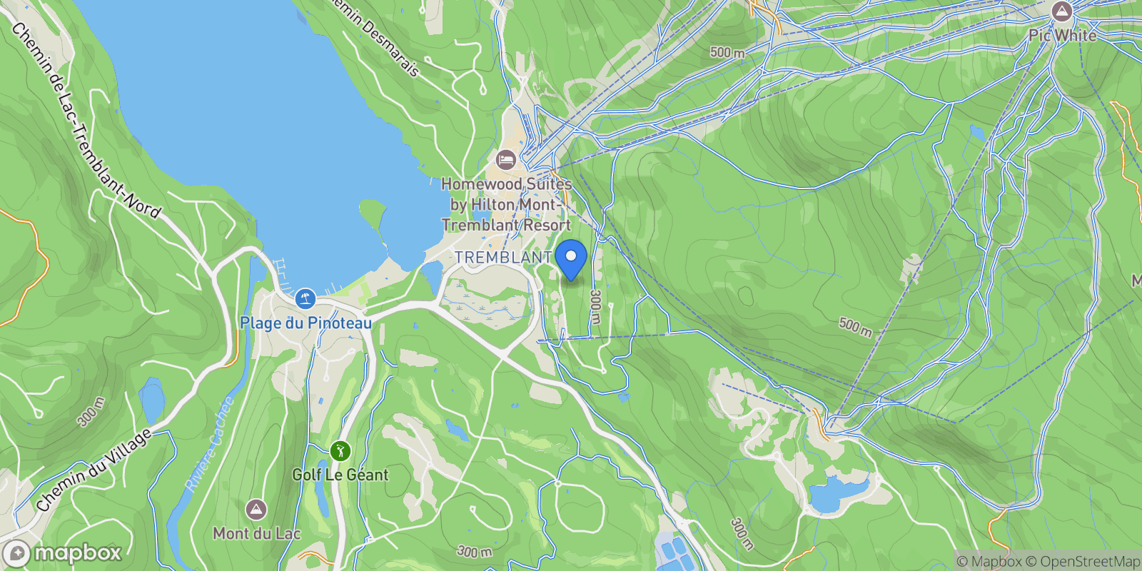 Map showing 134 Ch. de la Forêt, Apt. 9, Mont-Tremblant, QC J8E3K8, Mont-Tremblant, Quebec, Canada.