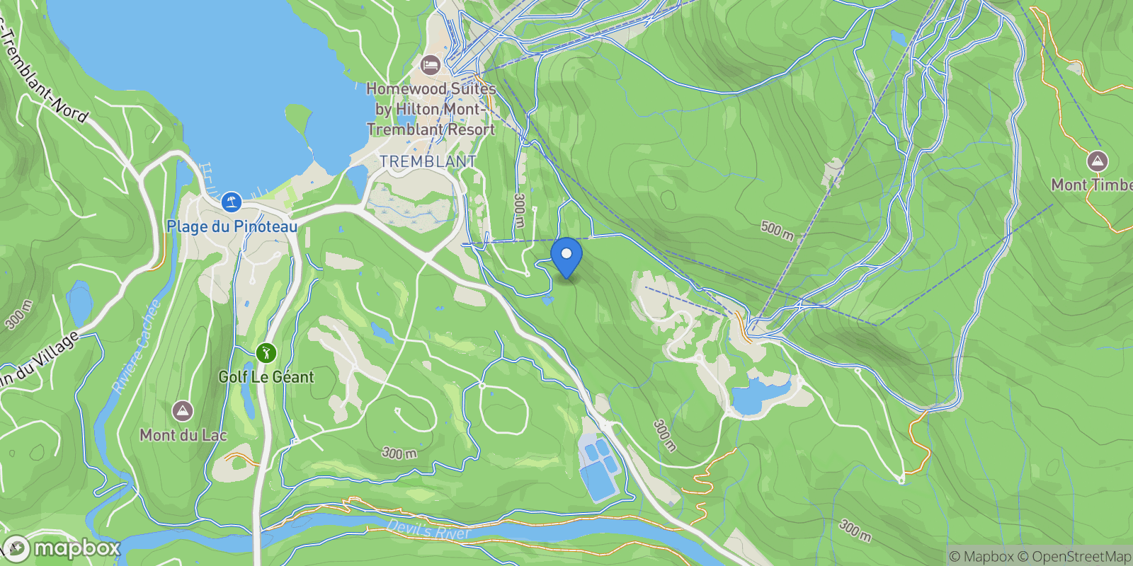 Map showing 234 Ch. de la Forêt, Apt. 4, Mont-Tremblant, QC J8E3K3, Mont-Tremblant, Quebec, Canada.