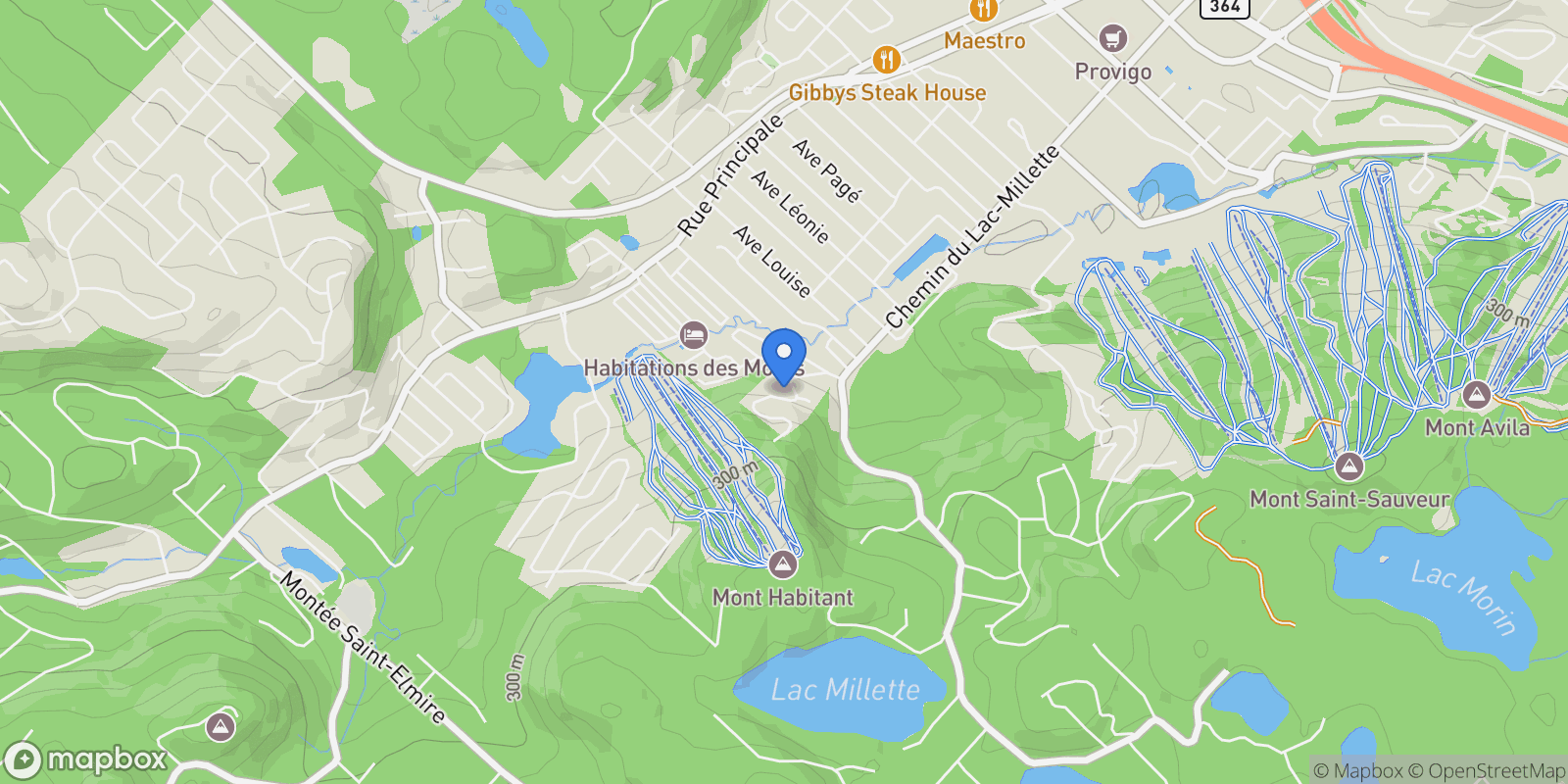 Map showing 138 Ch. de Touraine, Saint-Sauveur, Quebec, QC J0R1R3, Saint-Sauveur, Quebec, Canada.