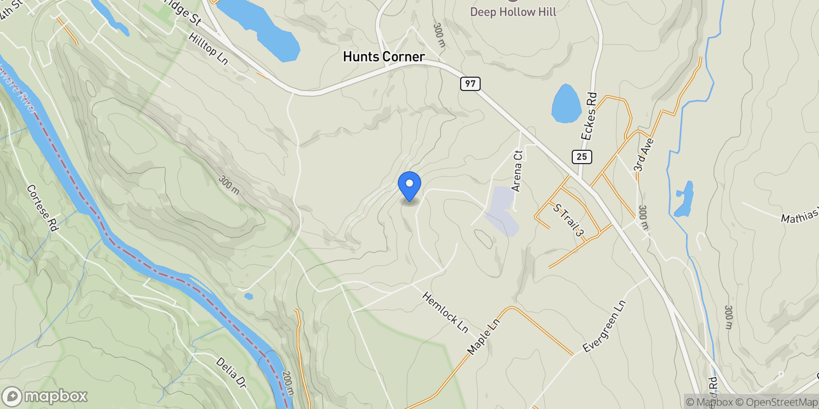 Map showing 152 Wood Oak Drive, Narrowsburg, NY 12764, Narrowsburg, New York, United States.