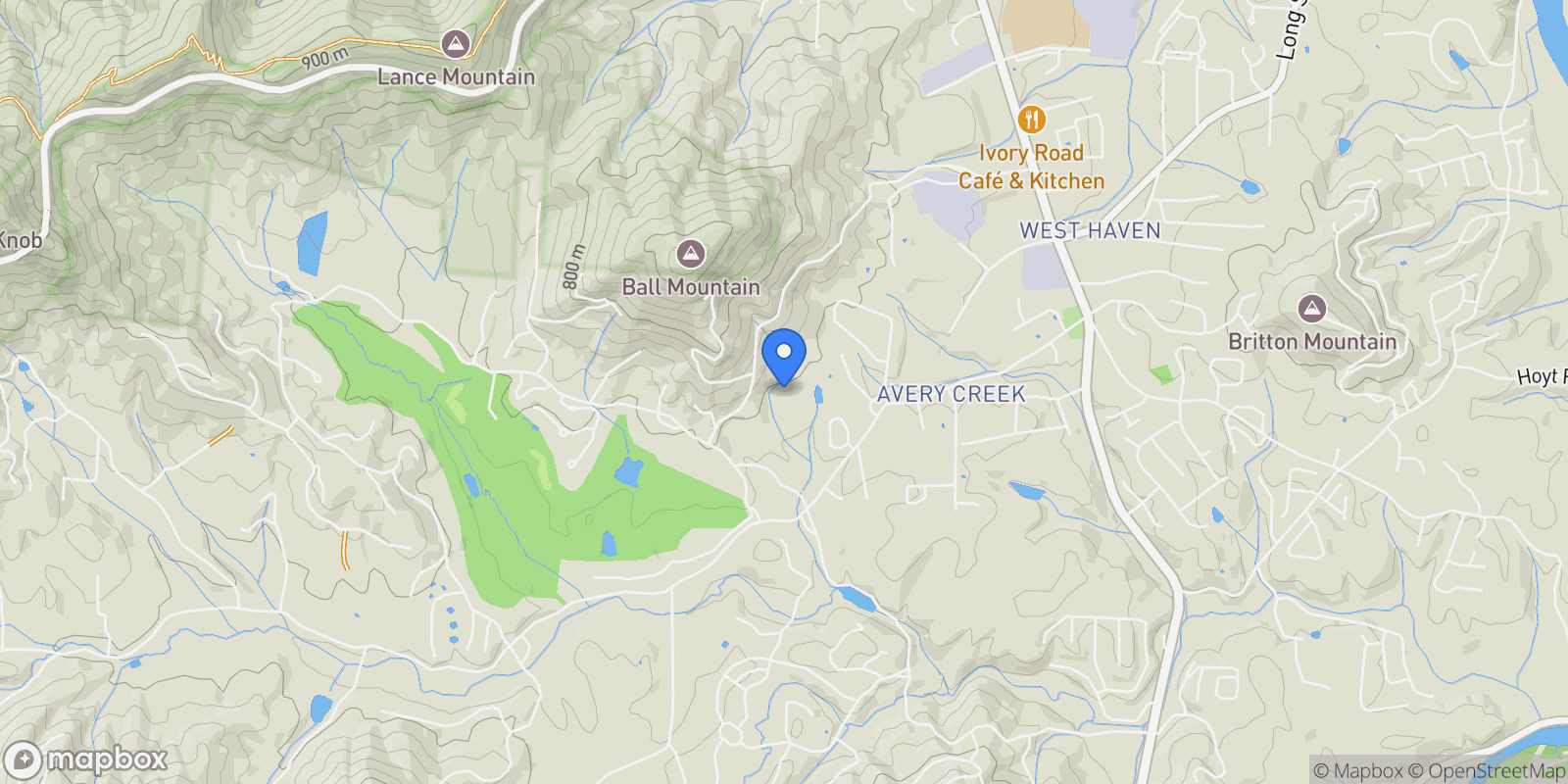 Map showing 173 Avery Creek Road, Arden, NC 28704, Arden, North Carolina, United States.