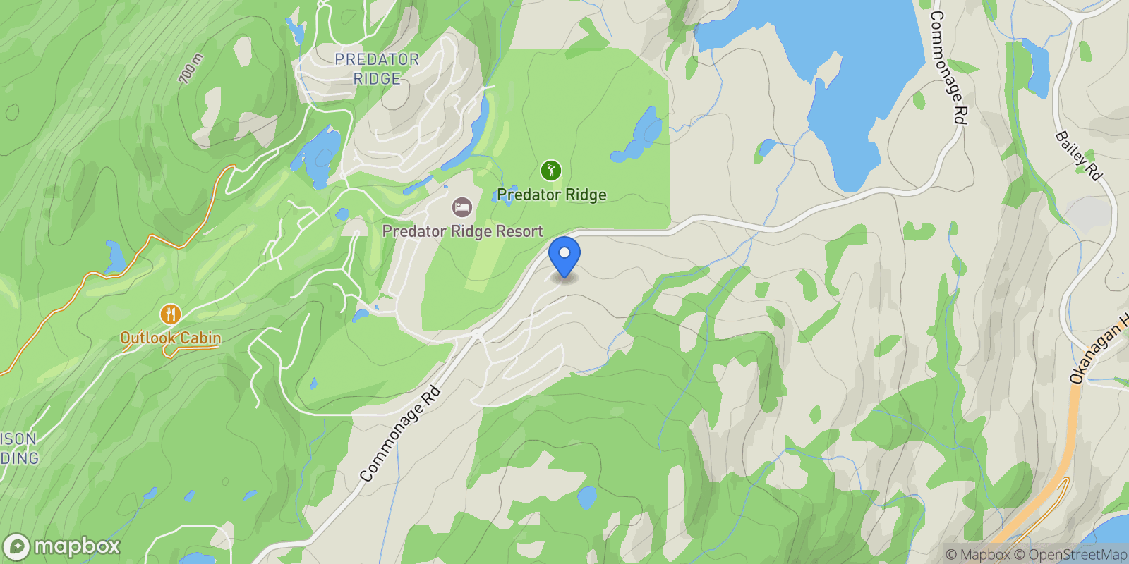 Map showing 294 Grange Drive, Vernon, BC V1H 1G4, Vernon, British Columbia, Canada.
