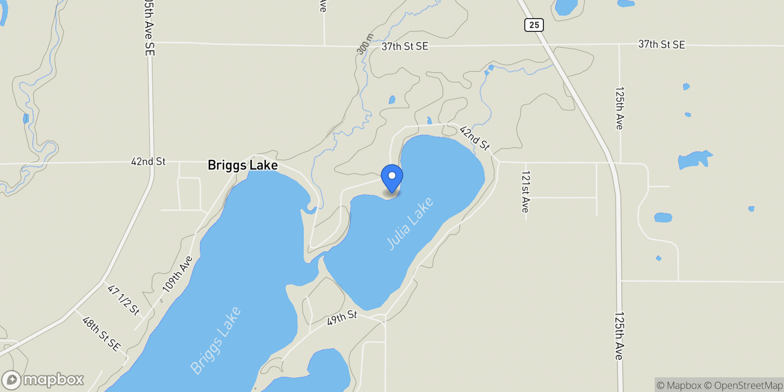 Map showing 11507 42nd Street SE, Palmer Twp, MN 55319, Briggs Lake, Minnesota, United States.