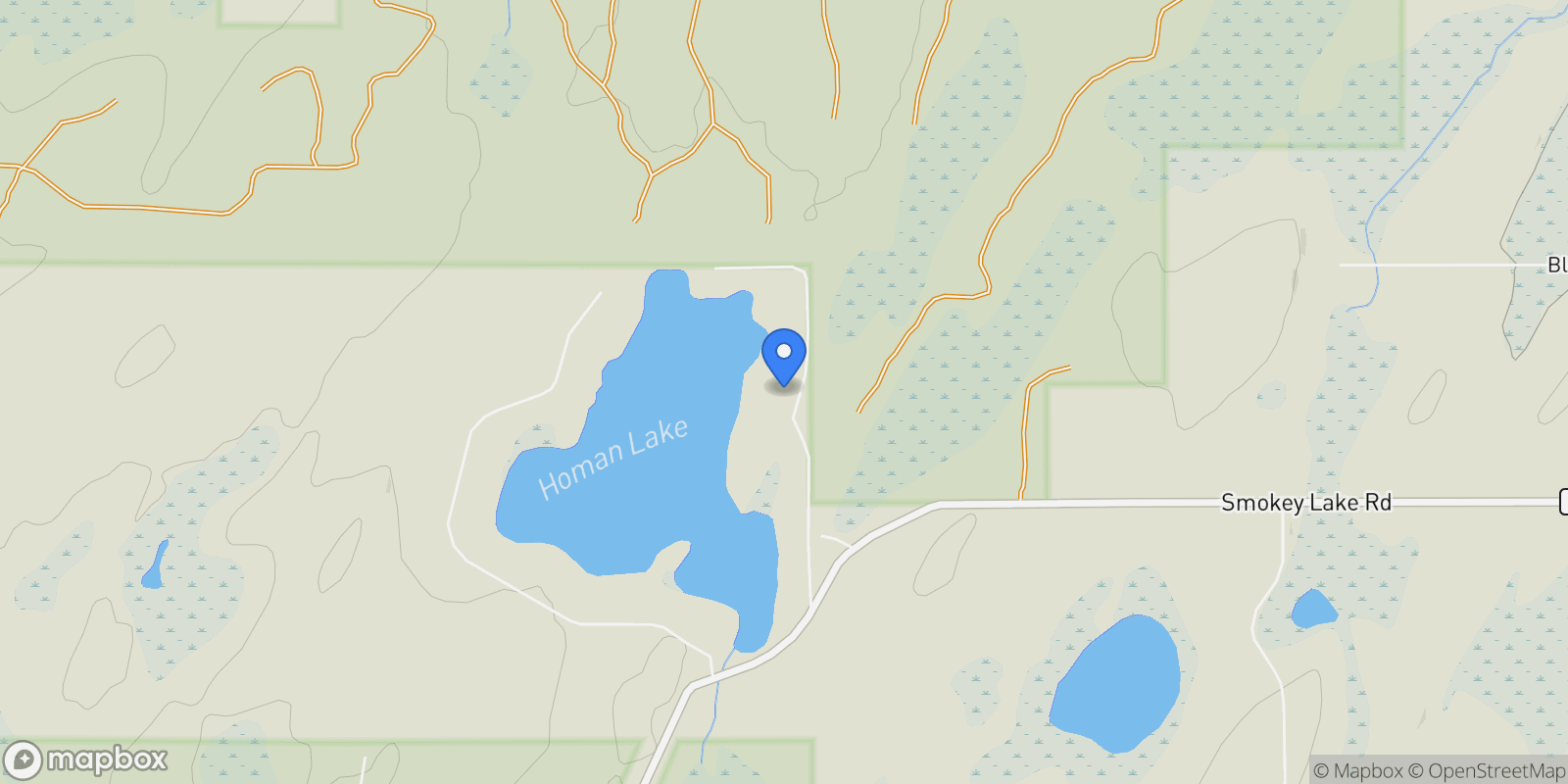 Map showing 195 Homan Lake, Iron River, MI 49935, Iron River, Michigan, United States.