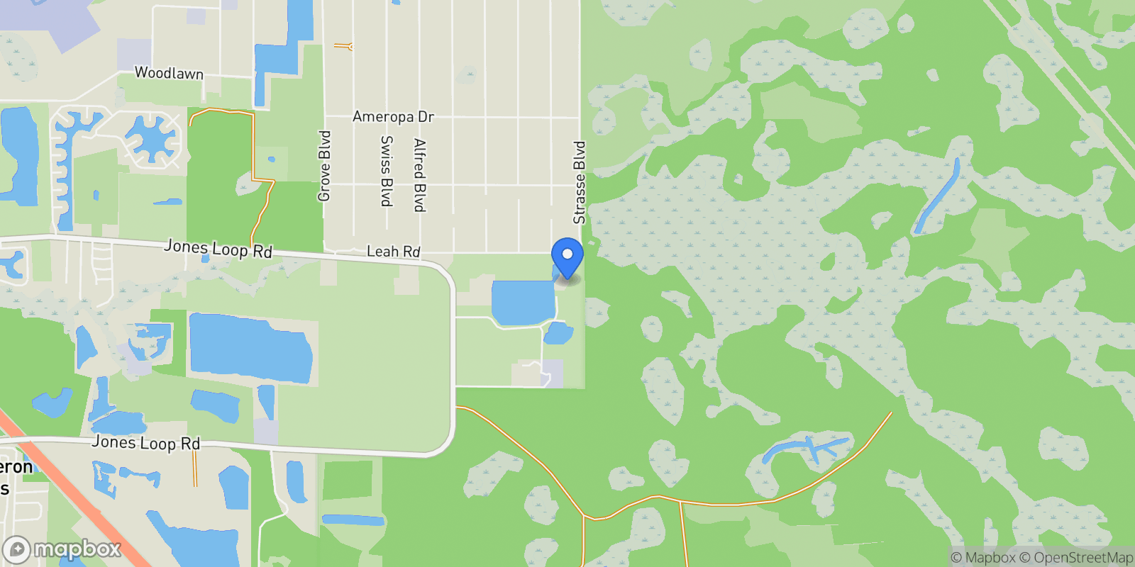 Map showing 29527 Leah Road, Charlotte Park, Florida, United States.