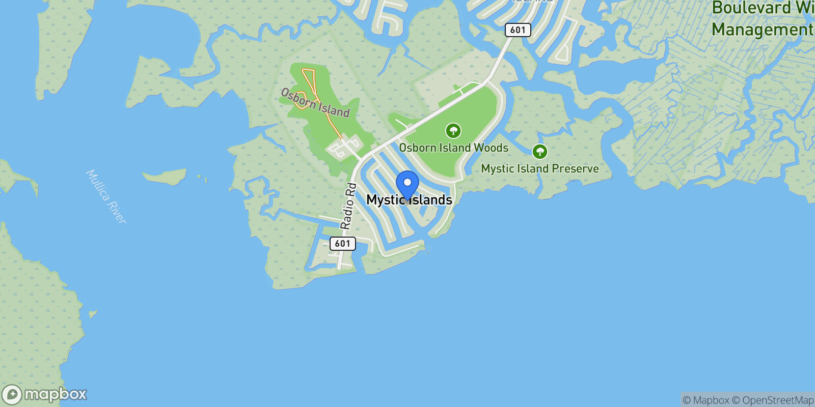 Map showing 40 LOUISIANA DR DRIVE, LITTLE EGG HARBOR TWP, NJ 08087, Little Egg Harbor Township, New Jersey, United States.