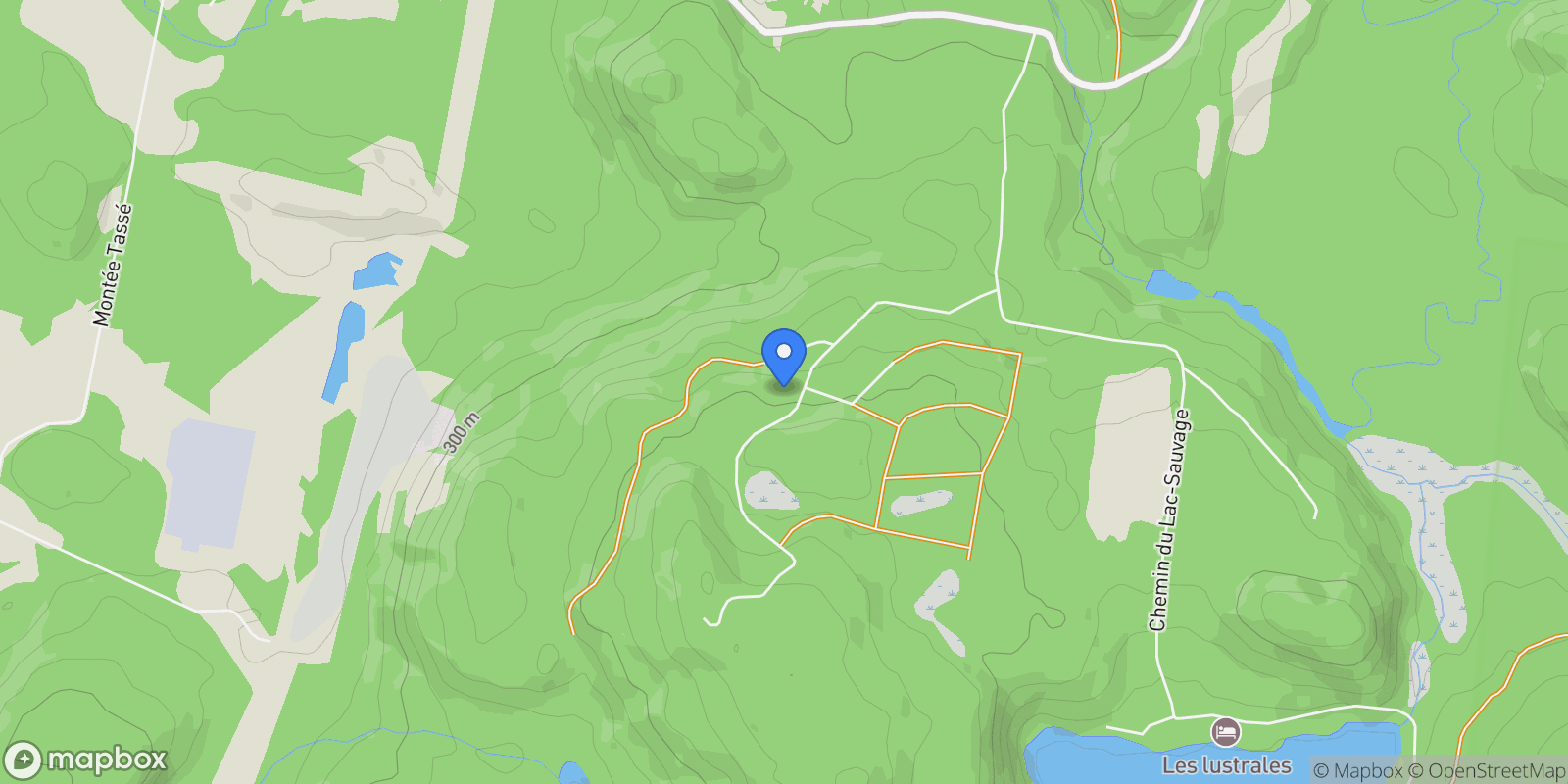 Map showing 60 62 Ch. des Faucons, Saint-Faustin-Lac-Carré, Quebec, Canada.