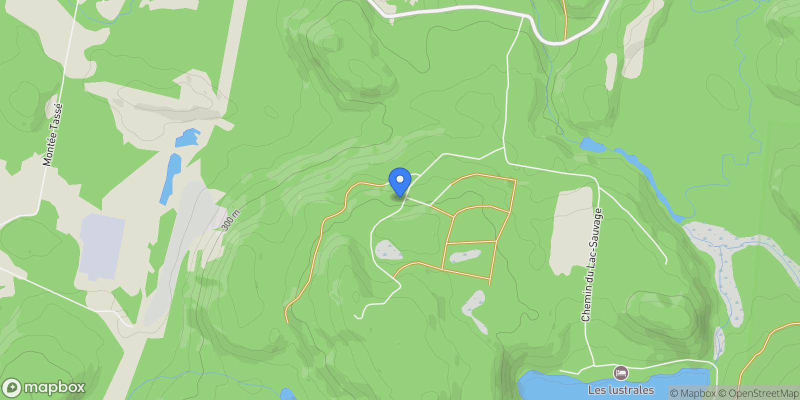 Map showing 60Z 62Z Ch. des Faucons, Saint-Faustin-Lac-Carré, Quebec, Canada.
