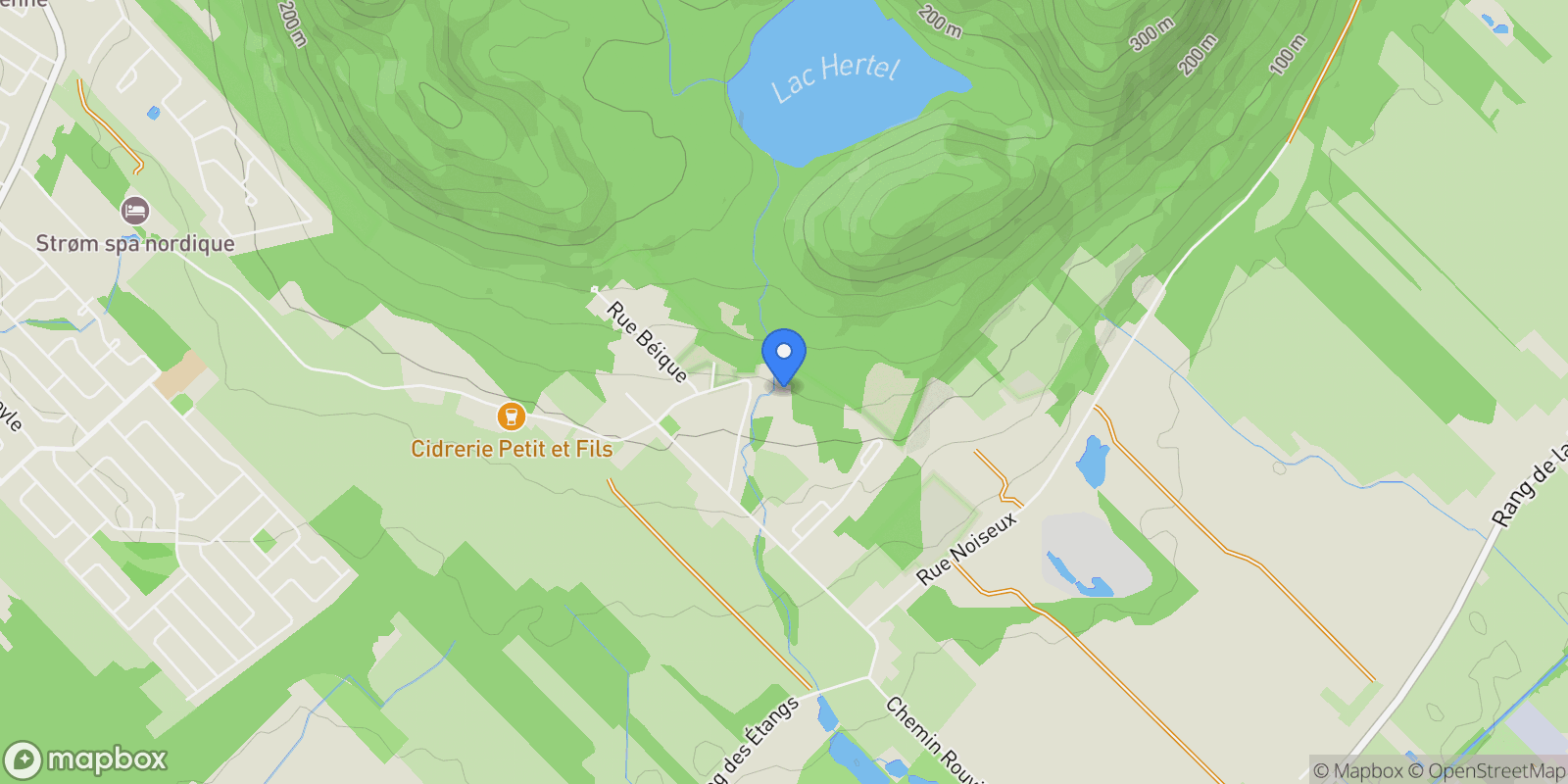 Map showing 446 Ch. des Moulins, Mont-Saint-Hilaire, Quebec, Canada.