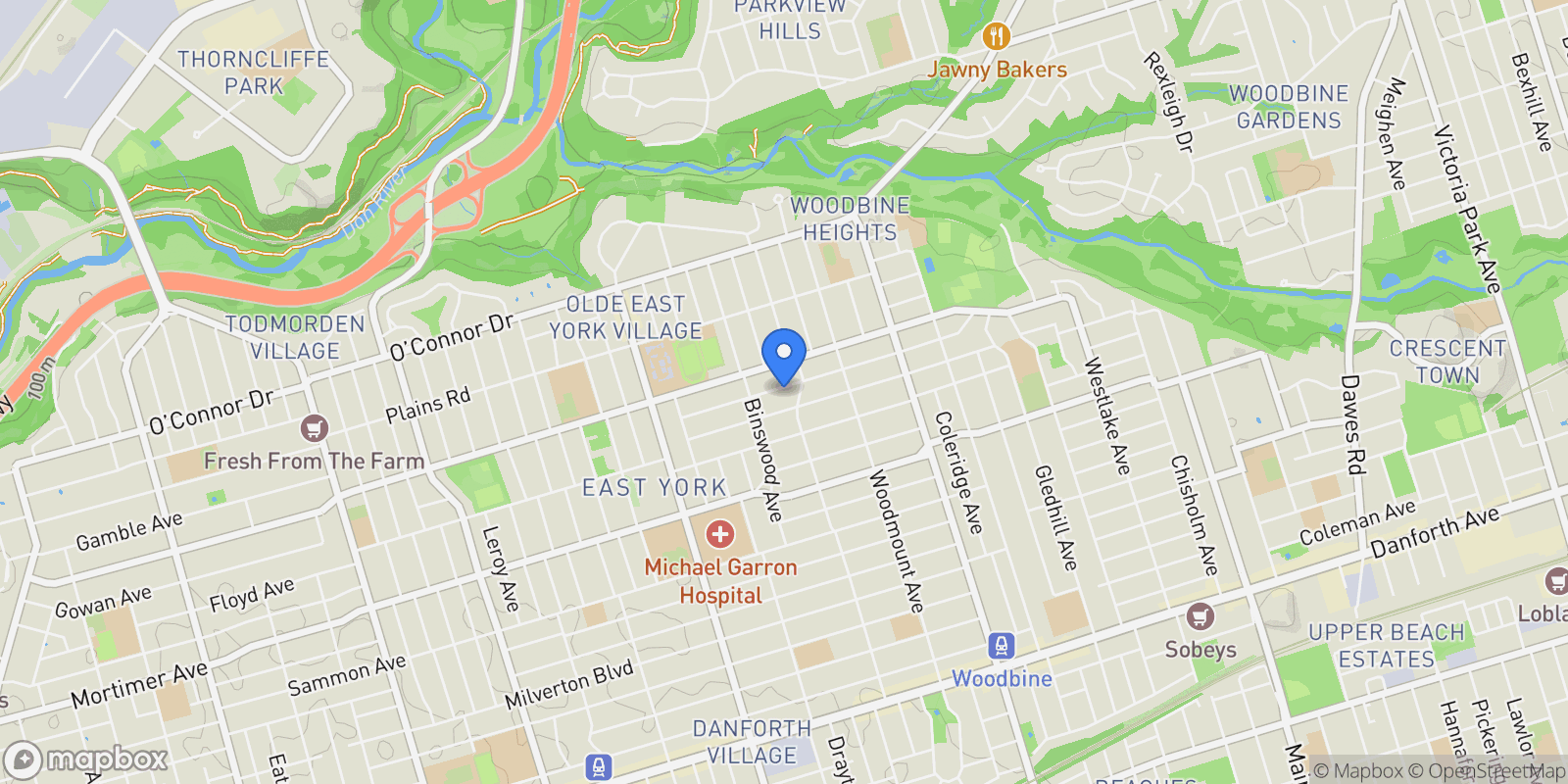 Map showing 83 Virginia Ave, Toronto, ON M4C 2S8, Toronto, Ontario, Canada.