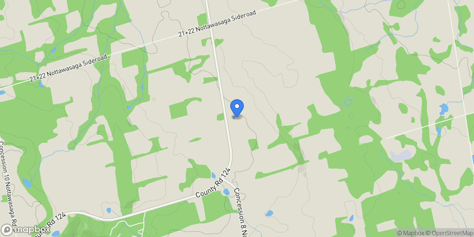 Map showing 2205 County Road 124, Clearview, ON L0M 1H0, Clearview, Ontario, Canada.