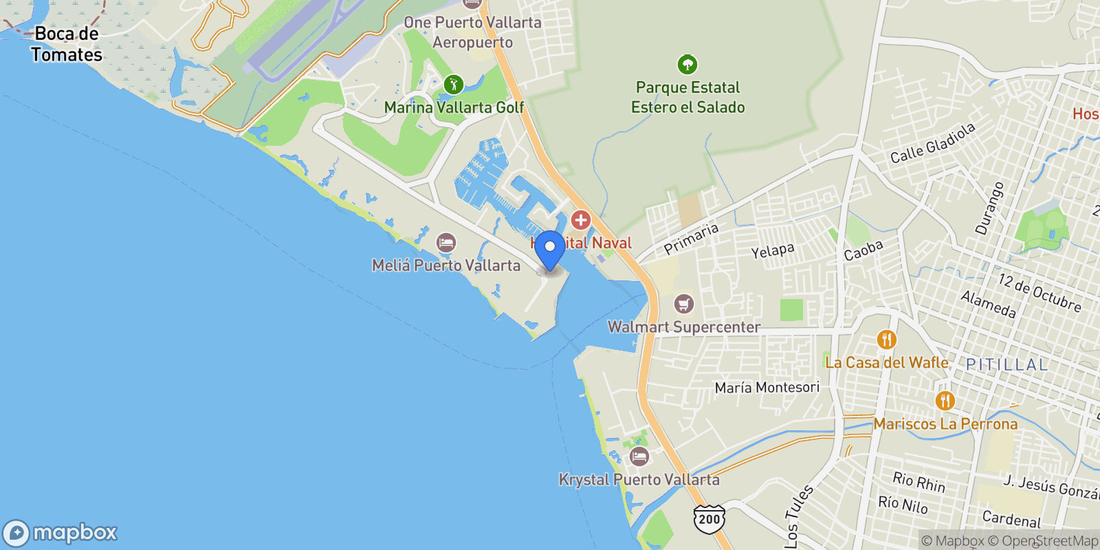 Map showing Av. Paseo de la Marina Sur 248, Marina Vallarta 48335 Puerto Vallarta Jalisco México, Puerto Vallarta, Jalisco, Mexico.