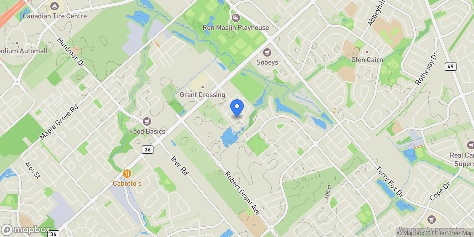 Map showing 517 Cobra Crescent, Ottawa, Ontario, Canada.