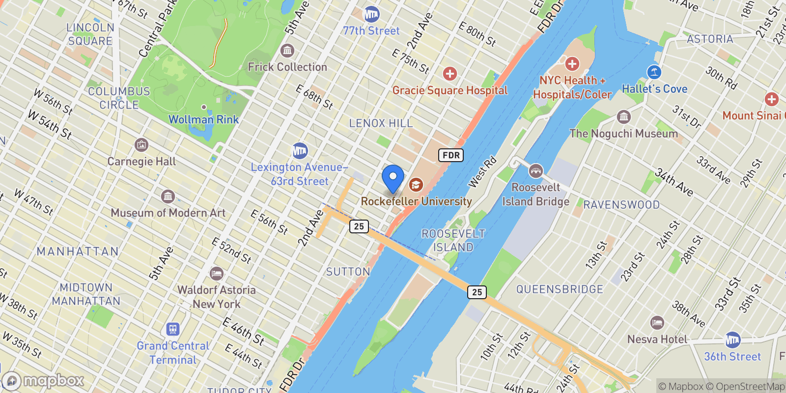 Map showing YORK AVENUE, New York, New York, United States.