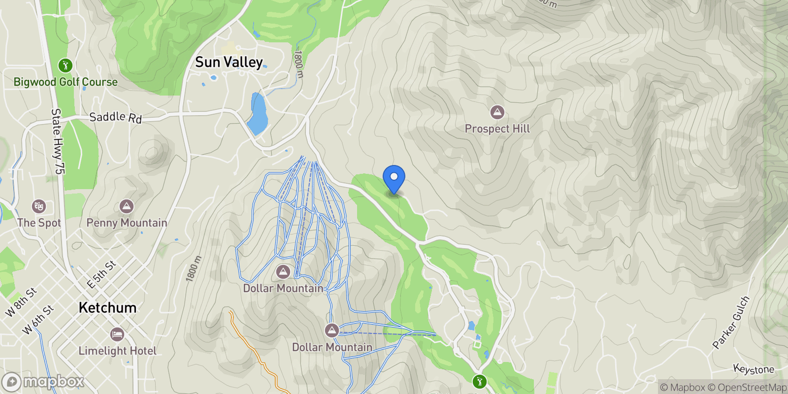 Map showing 117 Skyline Dr, Sun Valley, Idaho, United States.