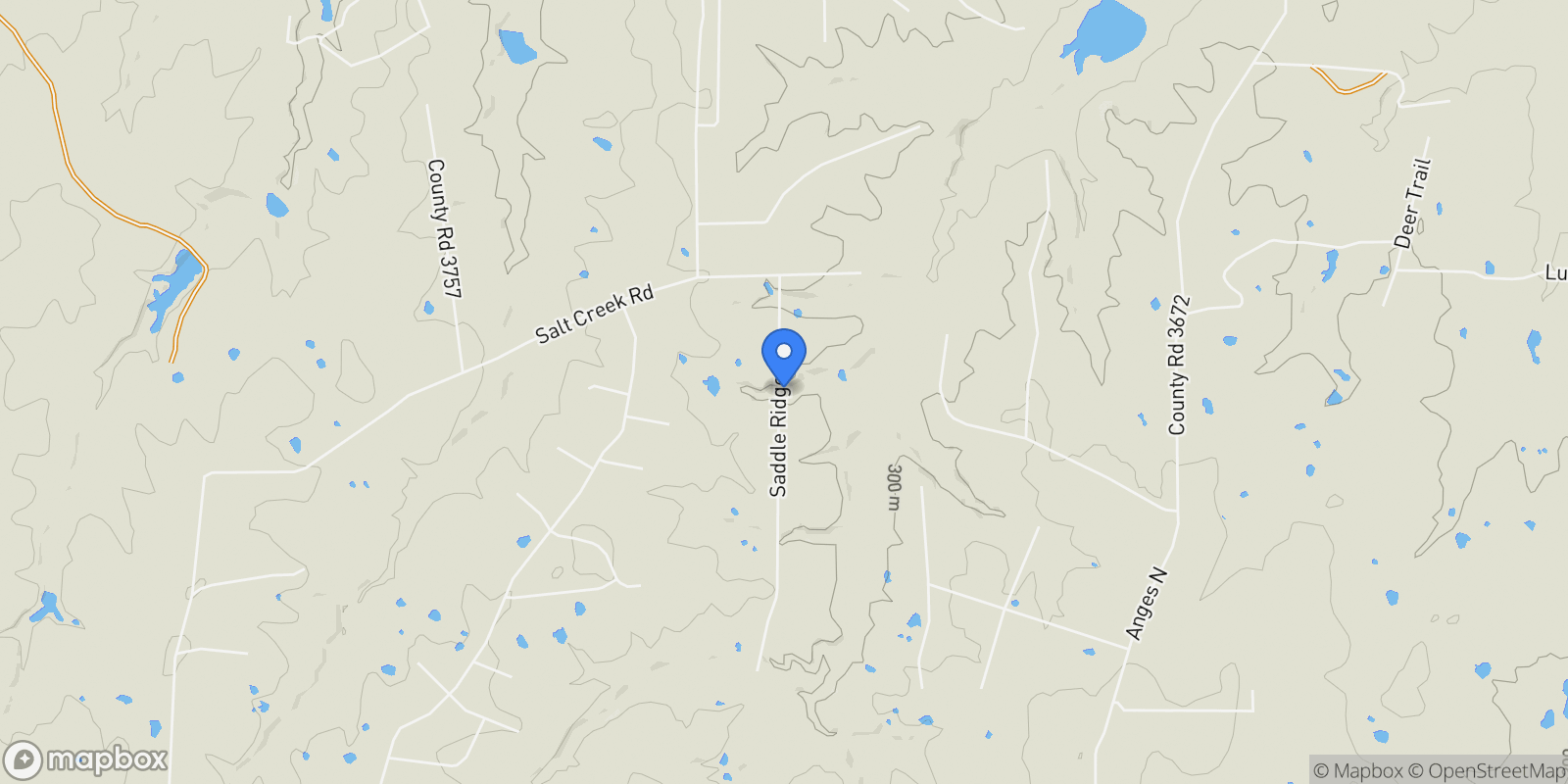 Map showing 203 Saddle Ridge Court, Springtown, Texas, United States.