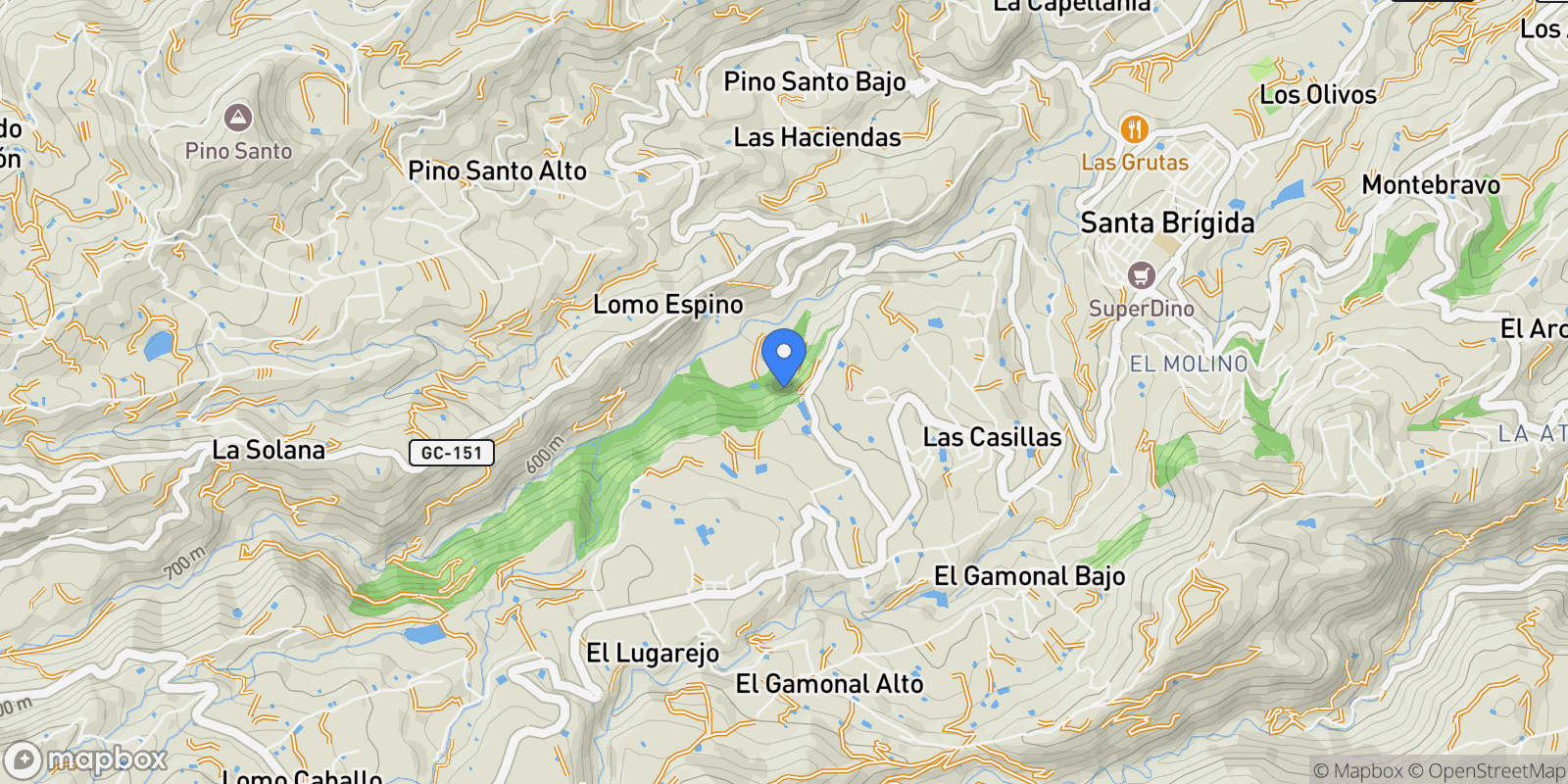 Map showing SANTA BRÍGIDA, Las Palmas, SANTA BRÍGIDA, Santa Brigida, Canary Islands, Spain.