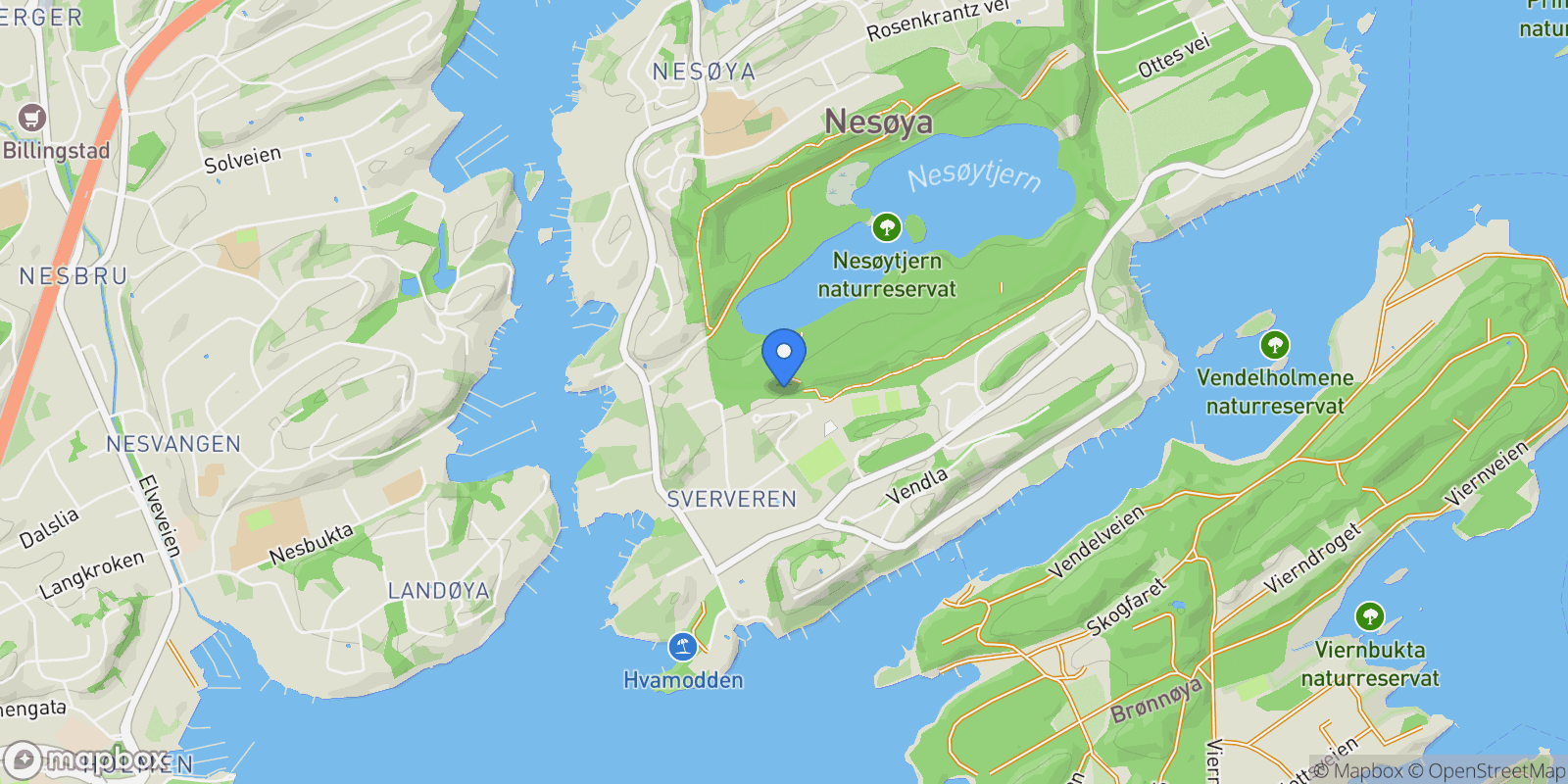 Map showing Nesøya, Asker Municipality, Norway, Nesøya, Viken, Norway.