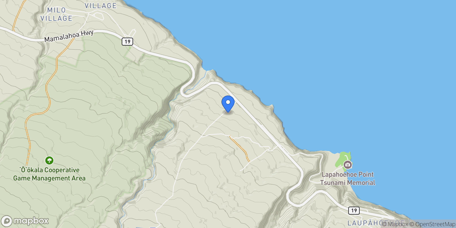 Map showing 36-1037 STEVENS RD, Hilo, HI 96774, Laupahoehoe, Hawaii, United States.