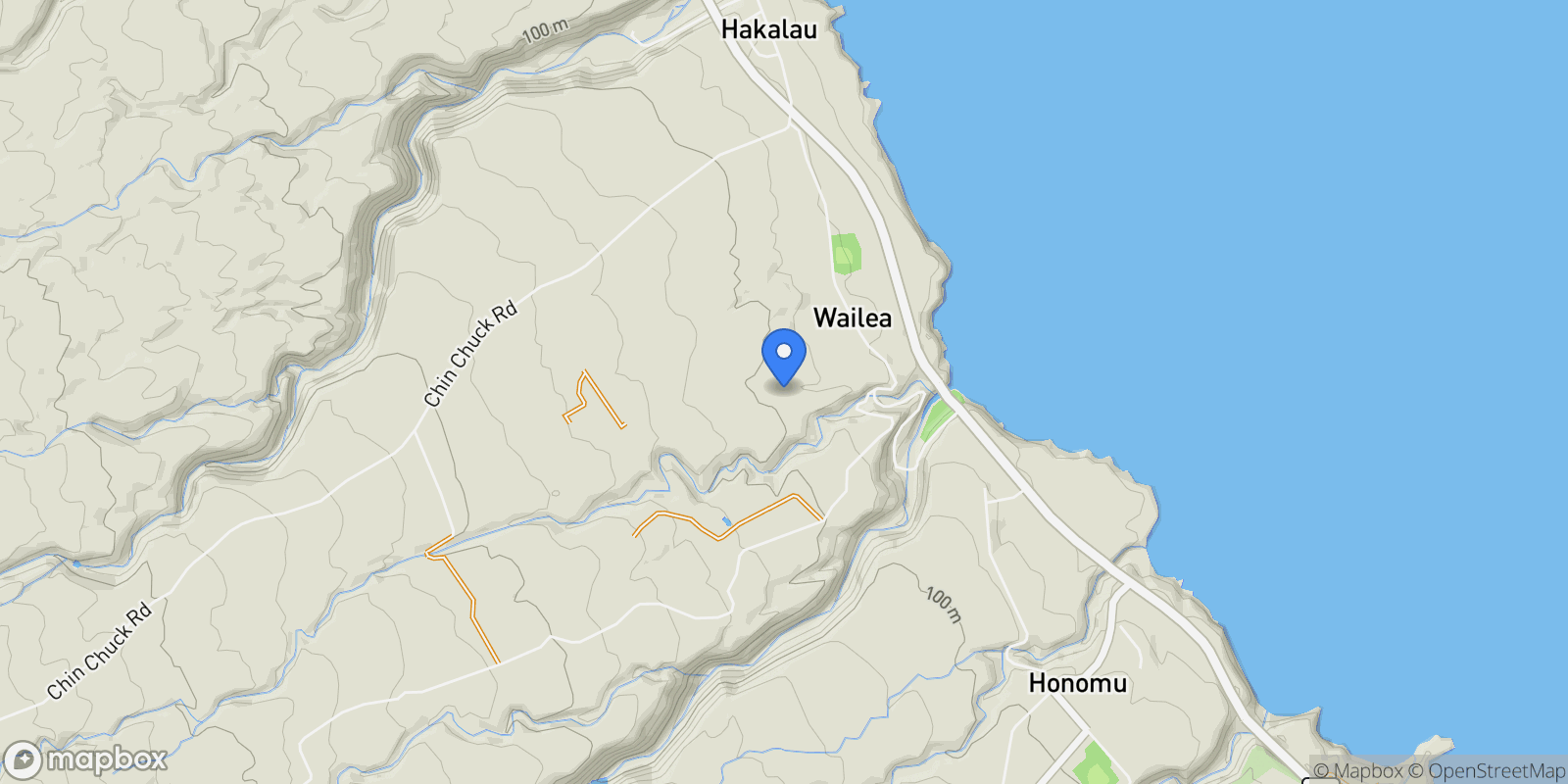 Map showing 29-2115 OLD MAMALAHOA HIGHWAY, Hakalau, HI 96710, Pepeekeo, Hawaii, United States.