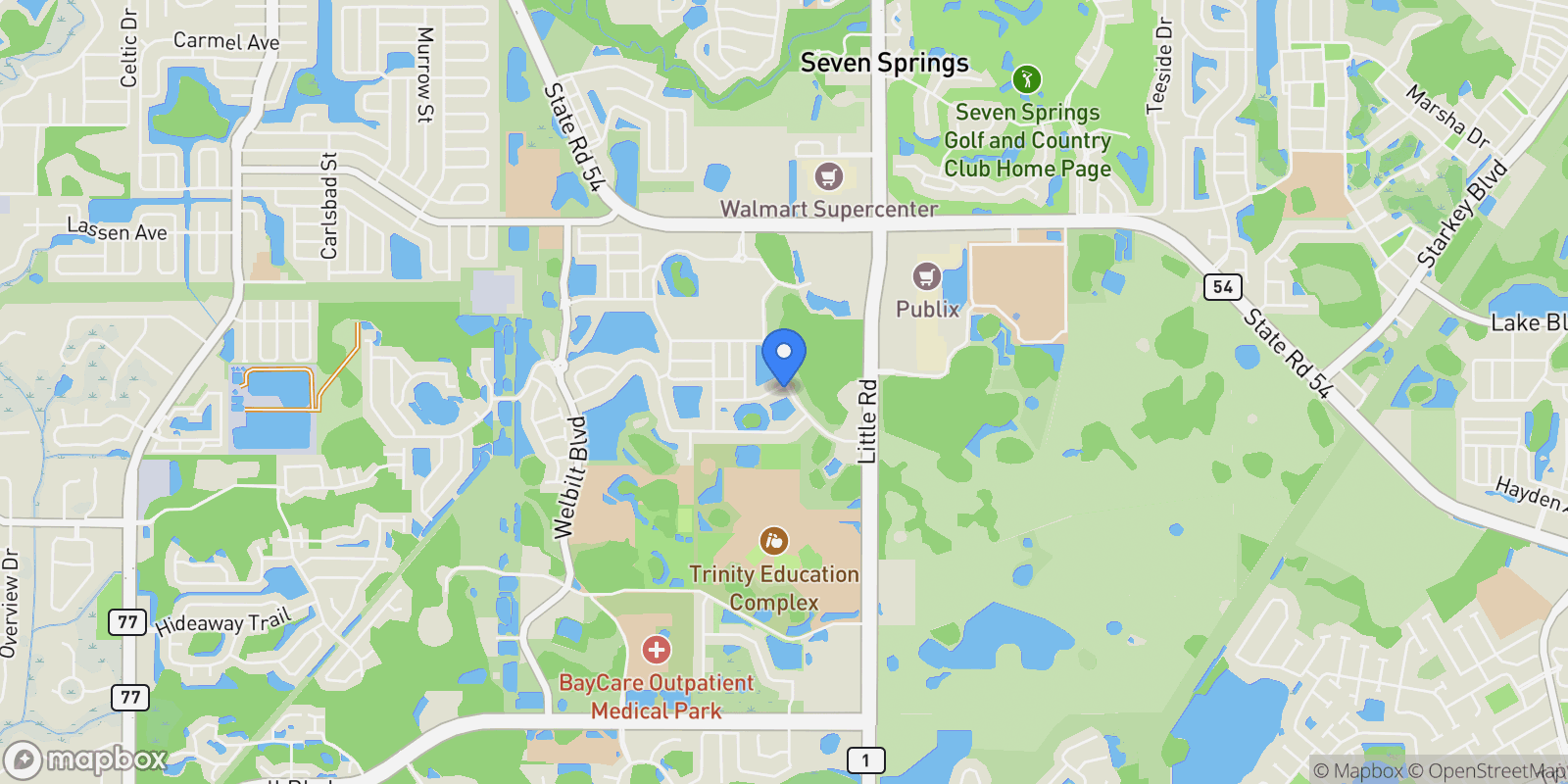 Map showing 8742 Winning Fields Road, New Port Richey, FL 34655, Trinity, Florida, United States.